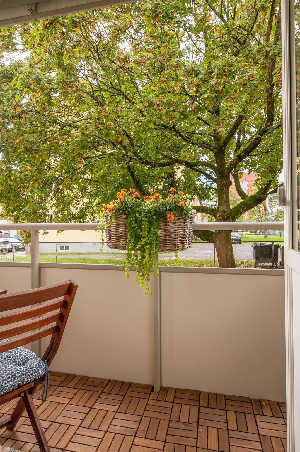 Ett grönskande träd på innergården!