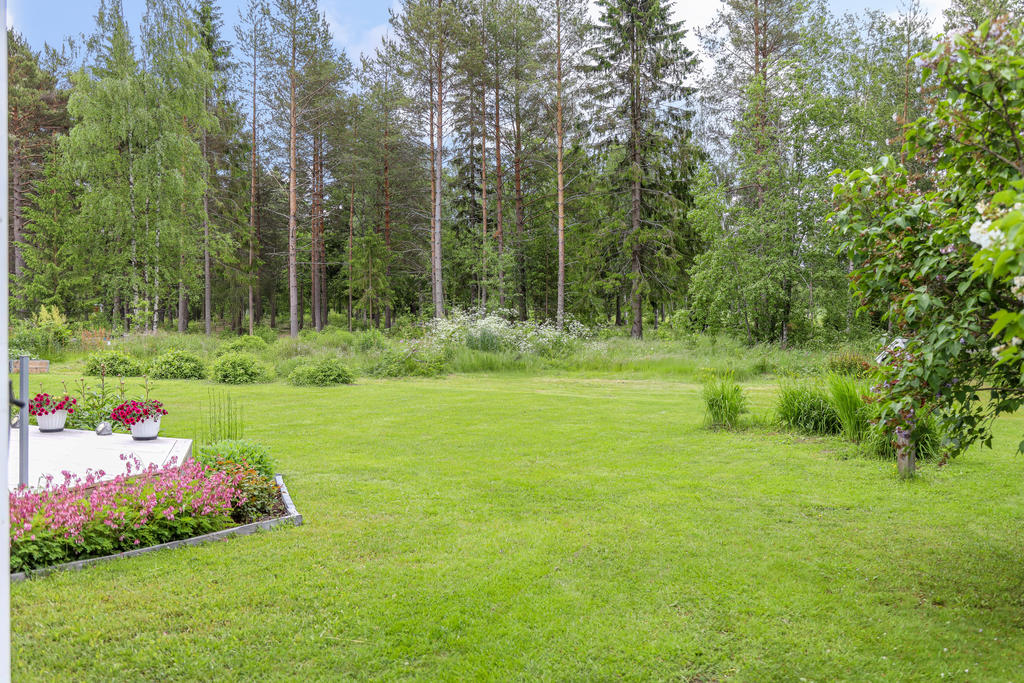 Baksida mot skogen och sedan havet 