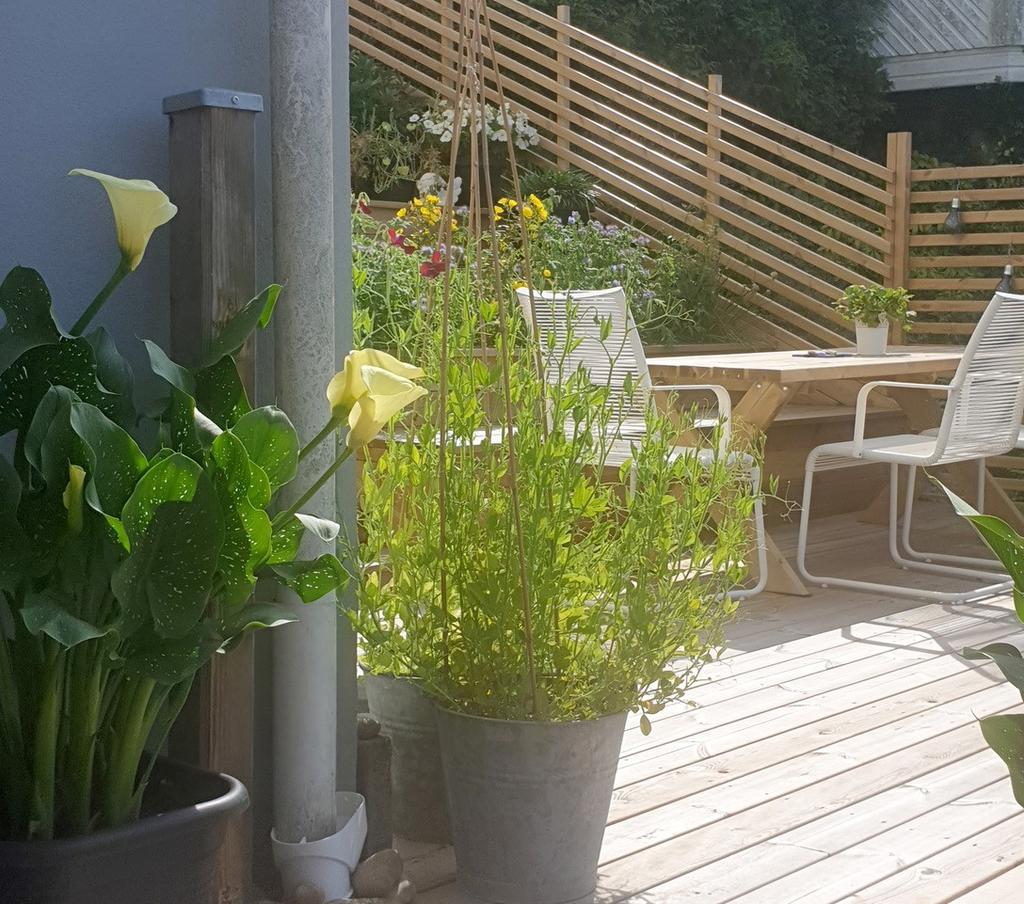 Säljarens egna bild