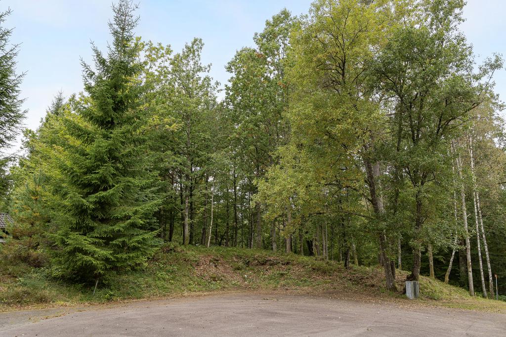 Holmenvägen 11 ligger längst in på gatan med naturen runt omkring.
