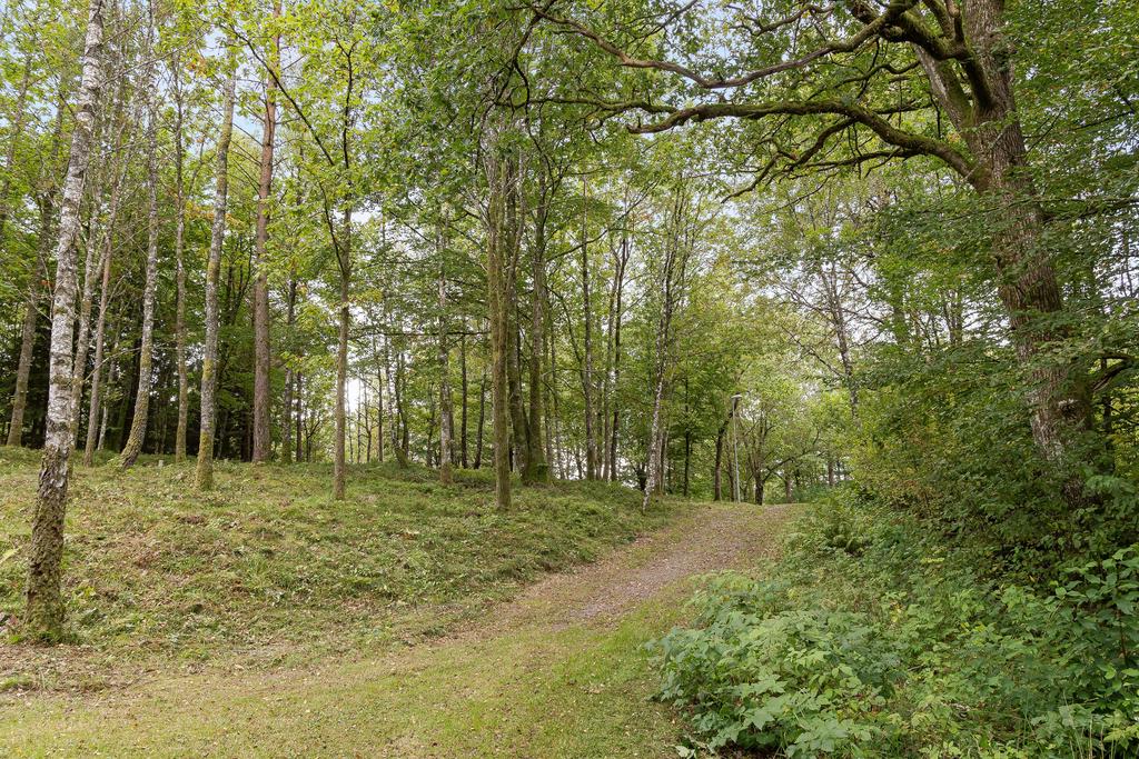 Fina vägar att promenera på finns precis runt knuten.