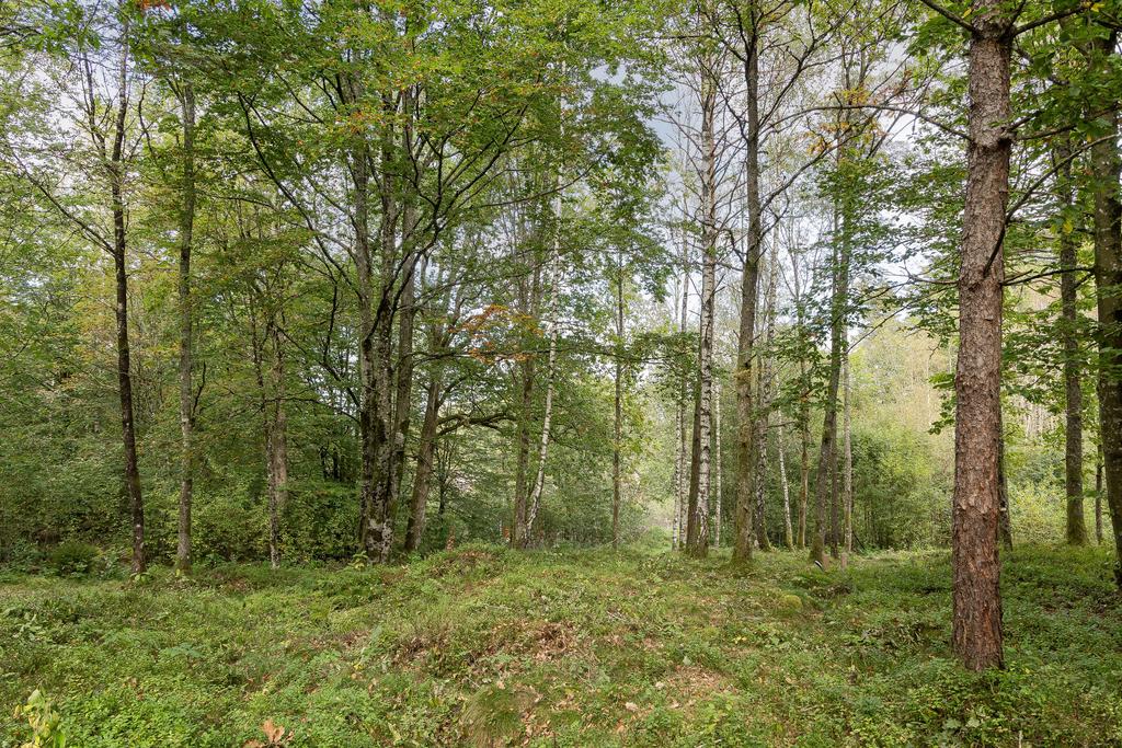 Tomten ligger på en höjd vilket ger ett mycket fint läge.