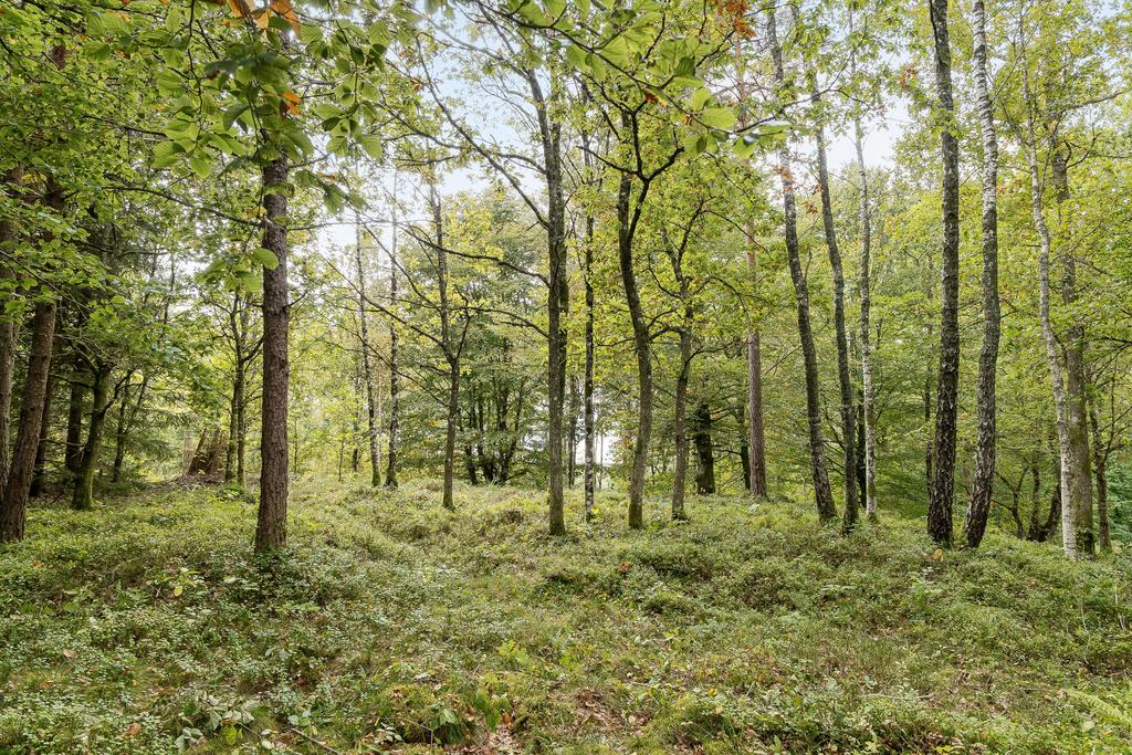 Fin tomt på Holmenvägen 11 i Källsjö!