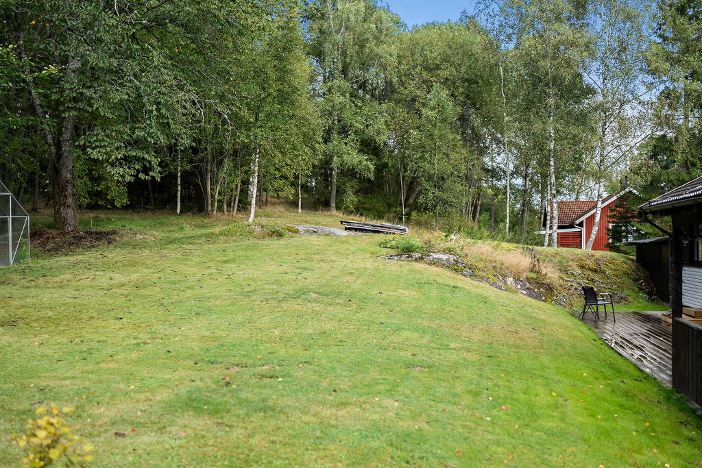 Trädgård baksida