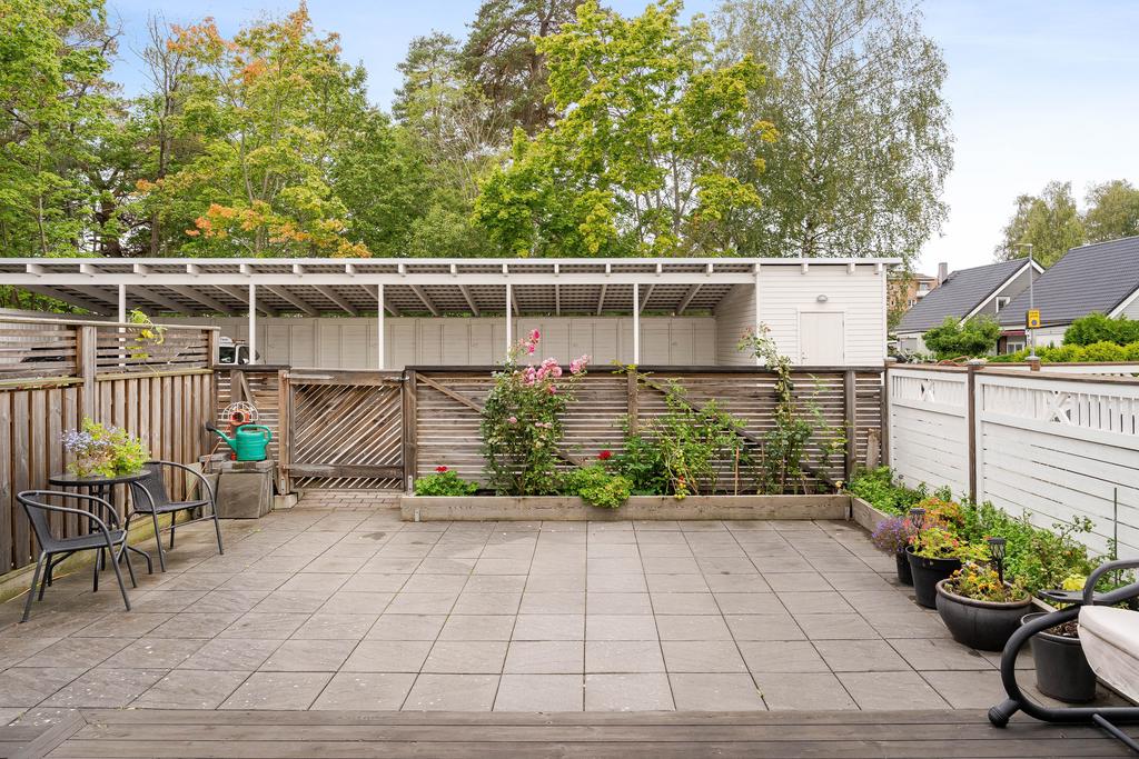 Planteringsbäddar med rosor 