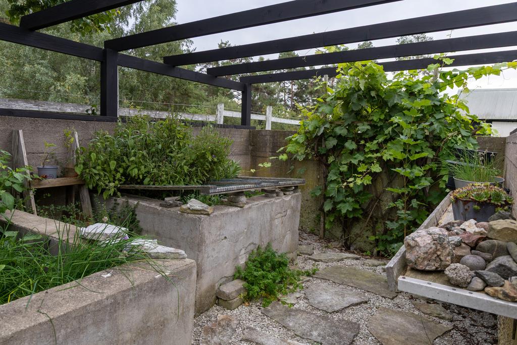 Pergola