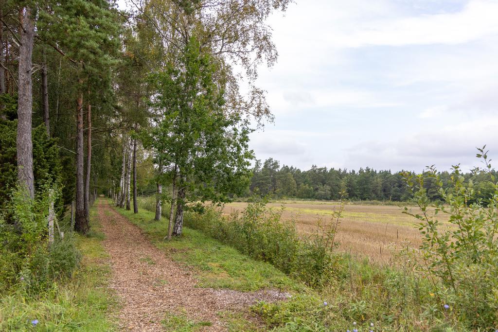 Trevliga strövområden på egen mark