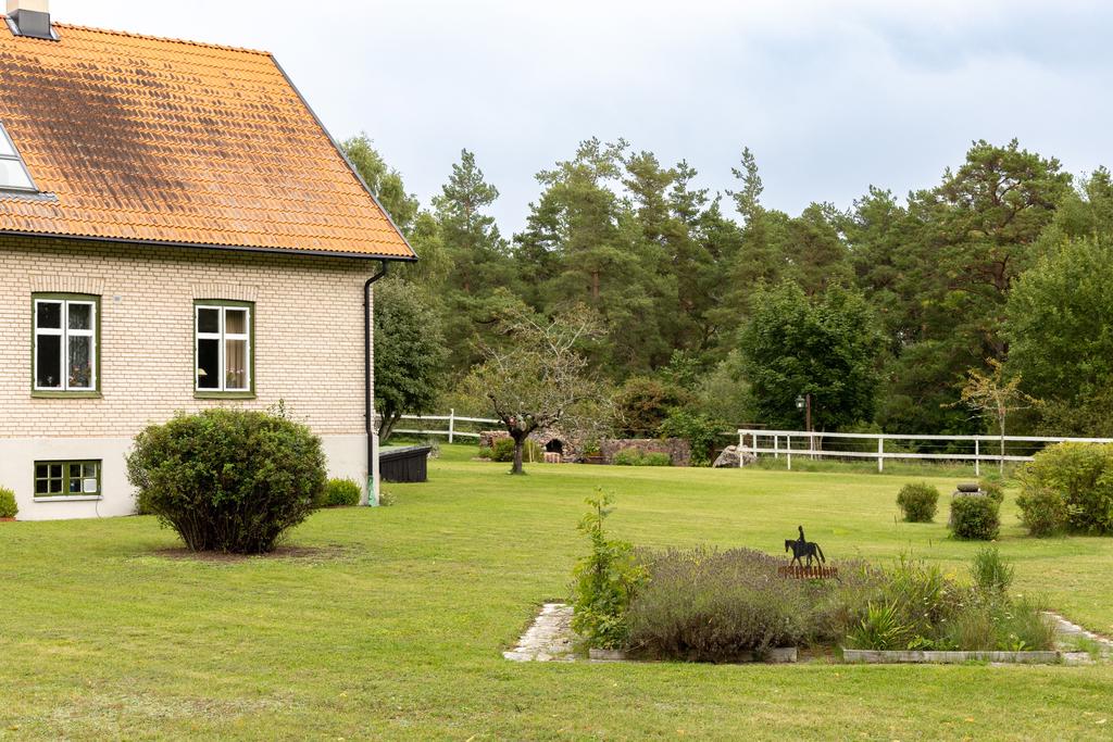 Trädgård