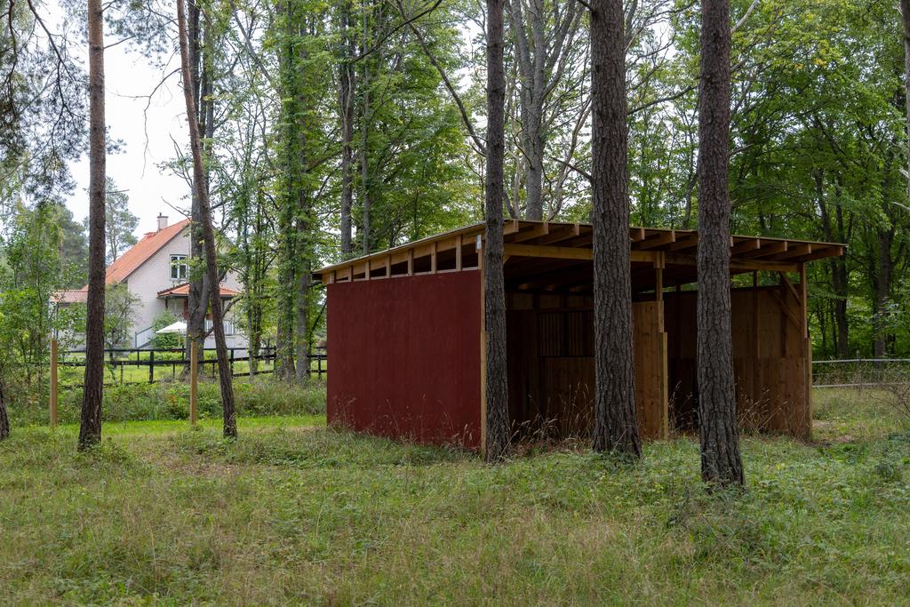 Vindskydd  i beteshage för häst