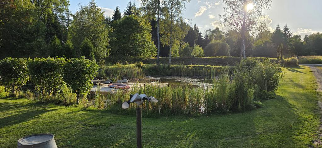 Mobiltelefonbild från sensommarkväll