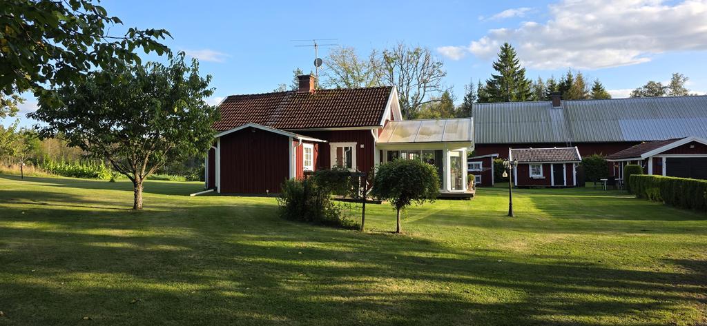 Mobiltelefonbild från sensommarkväll