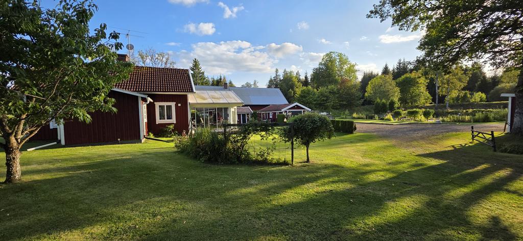 Mobiltelefonbild från sensommarkväll