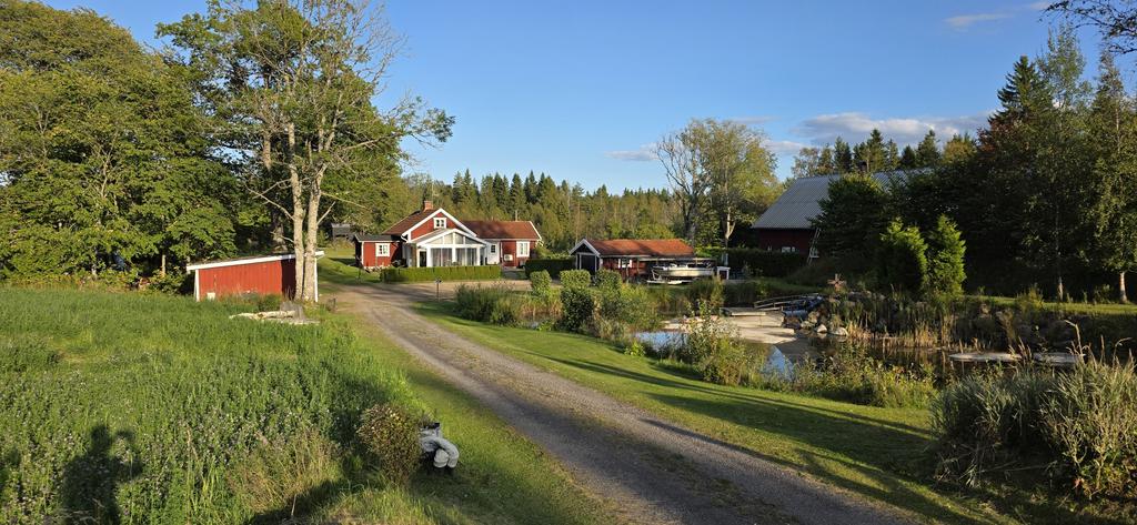 Mobiltelefonbild från sensommarkväll