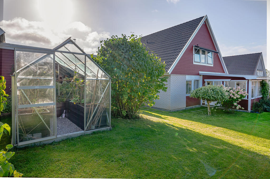 Trädgård med växthus