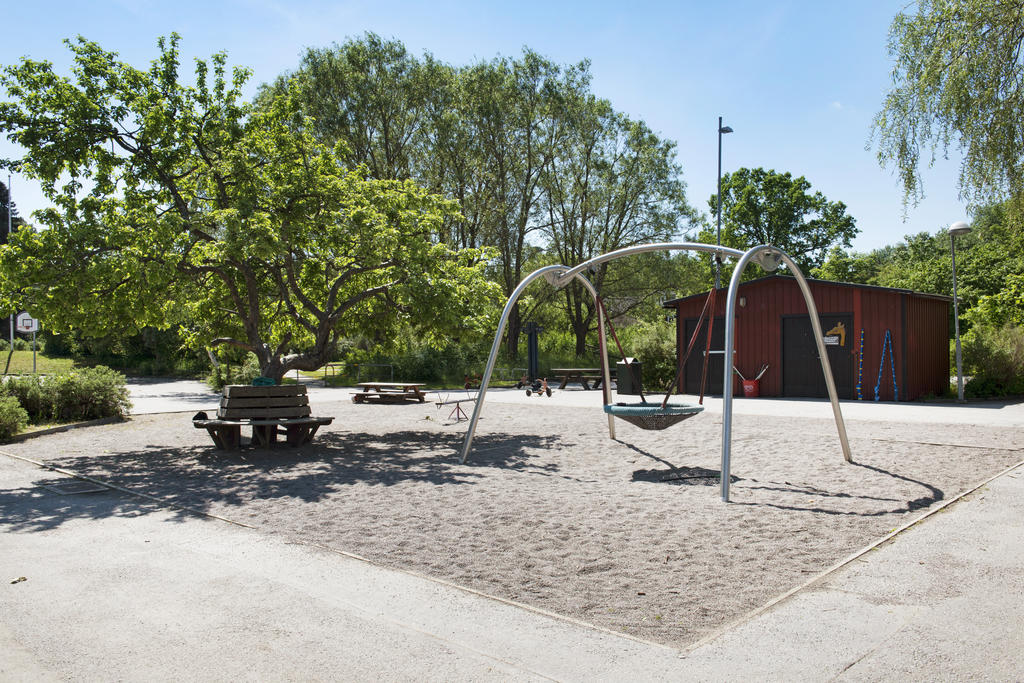 Gulsippans parklek gunga