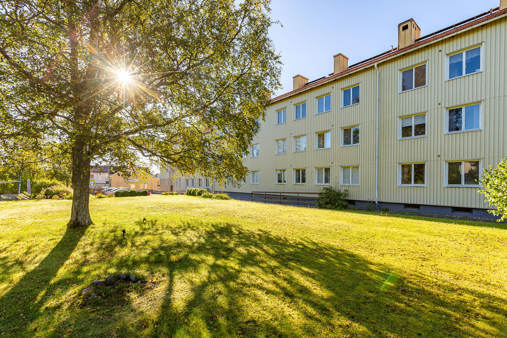 Grönskande innergård