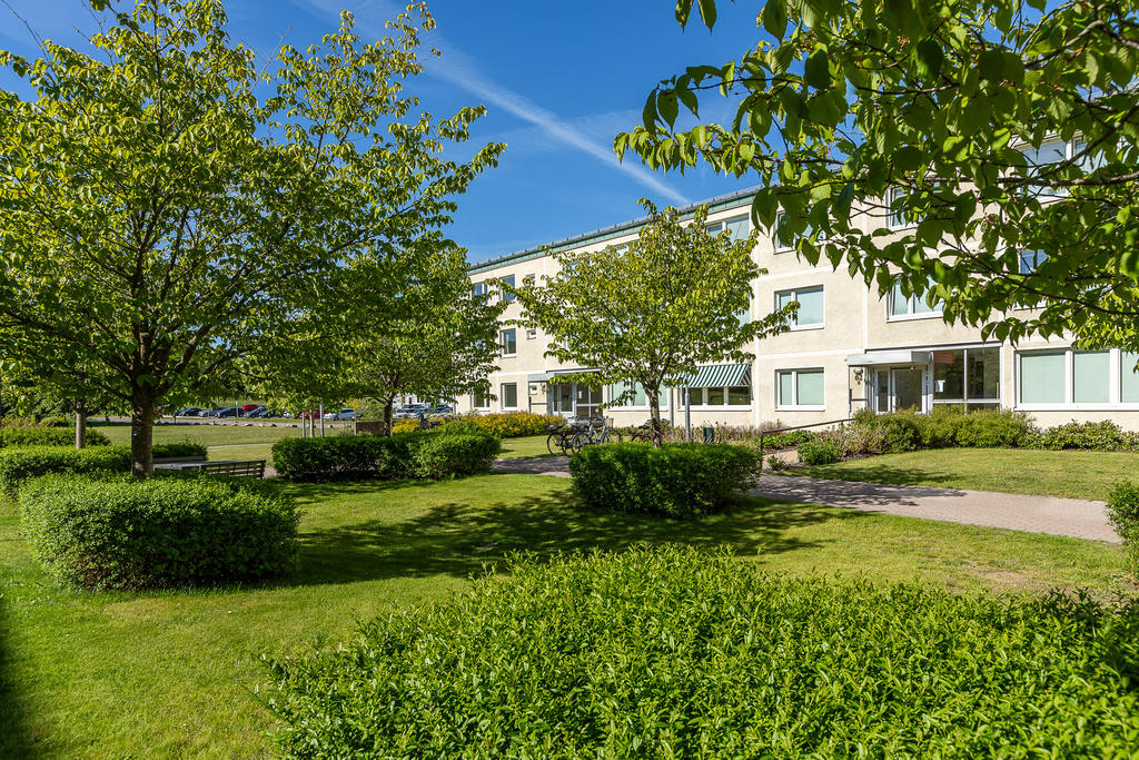 Grön och fin innergård