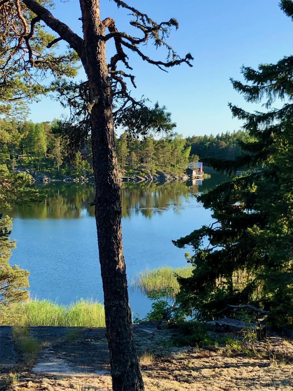 Säljarens bild