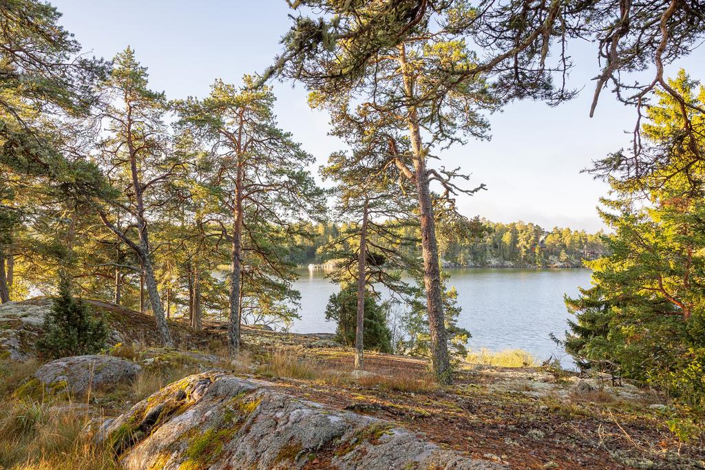 Utsikt