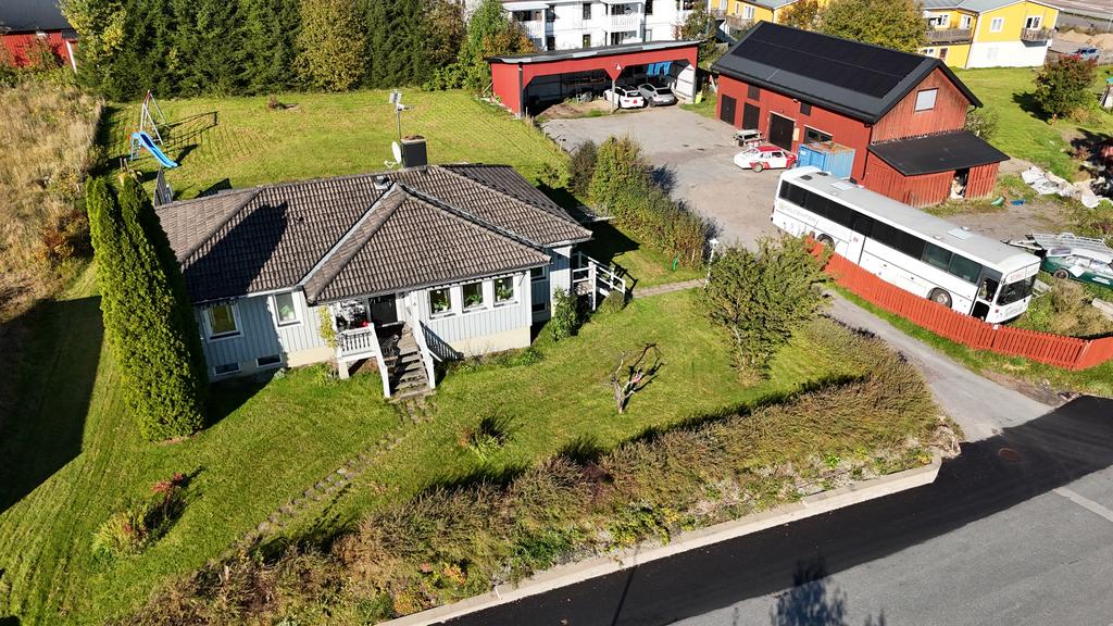 Drönarfoto