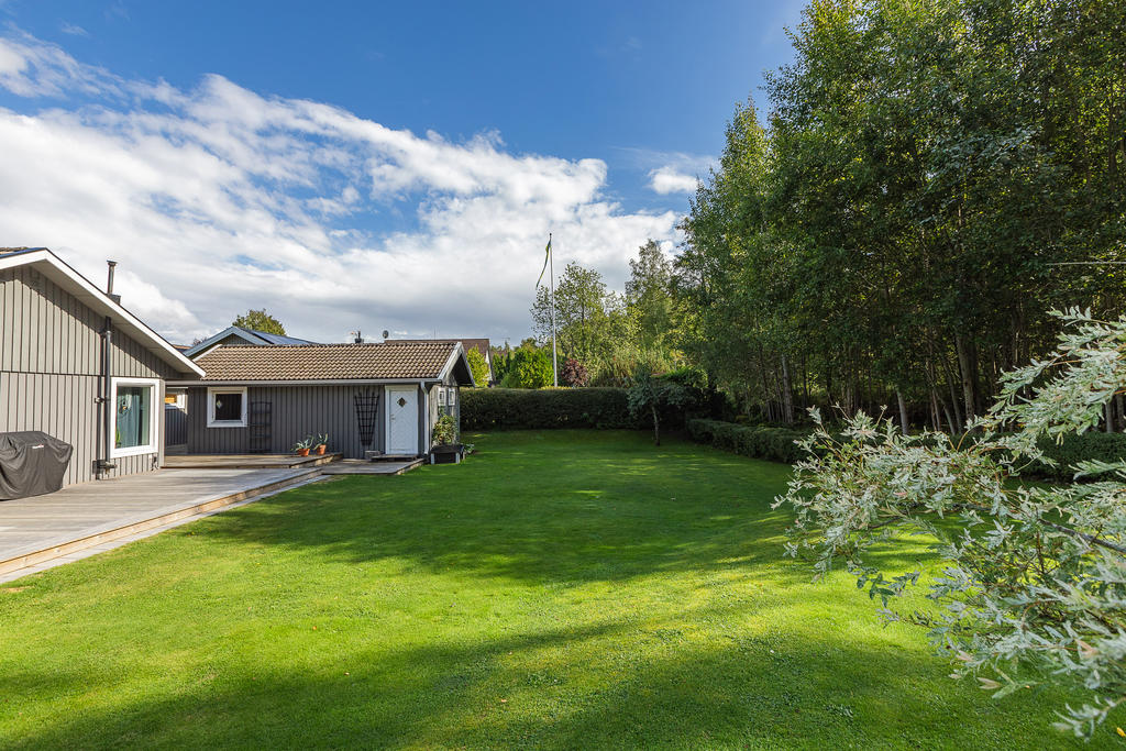 Grönskande baksida ut mot grönområde