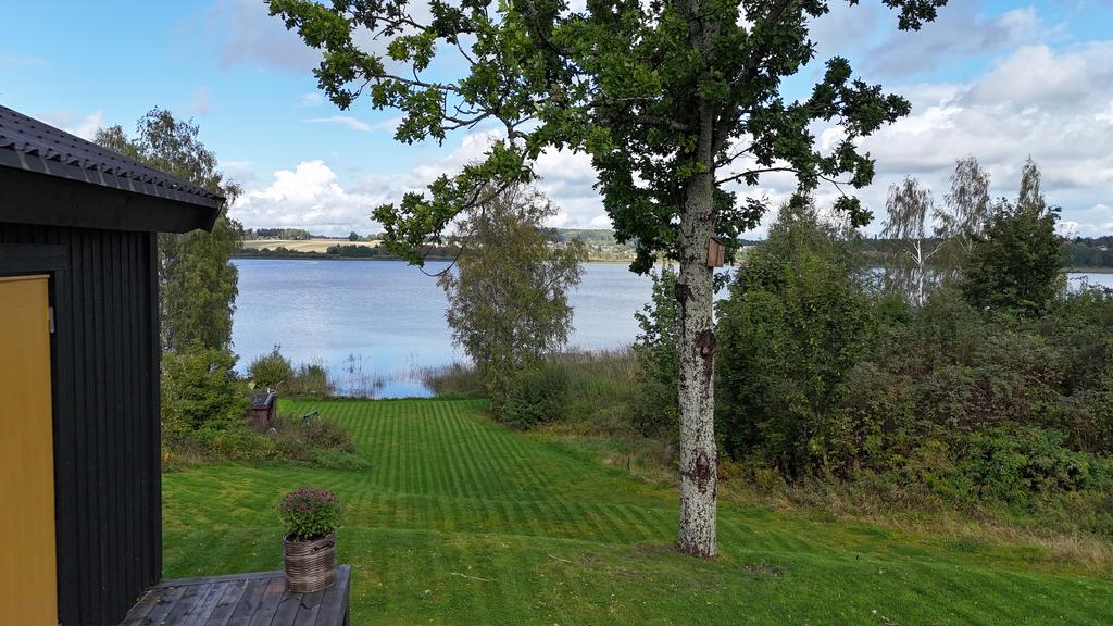 Trädgård