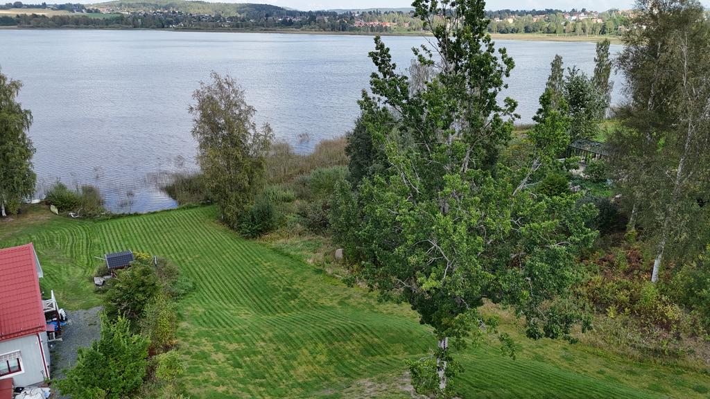 Trädgård