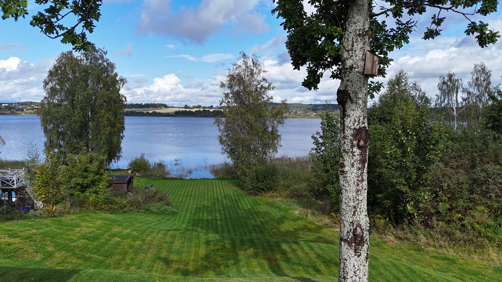 Trädgård