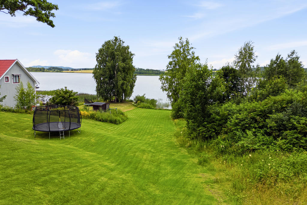 Trädgård