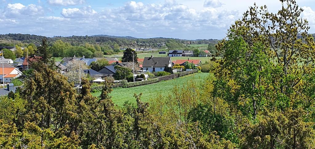 Säljarens bild 