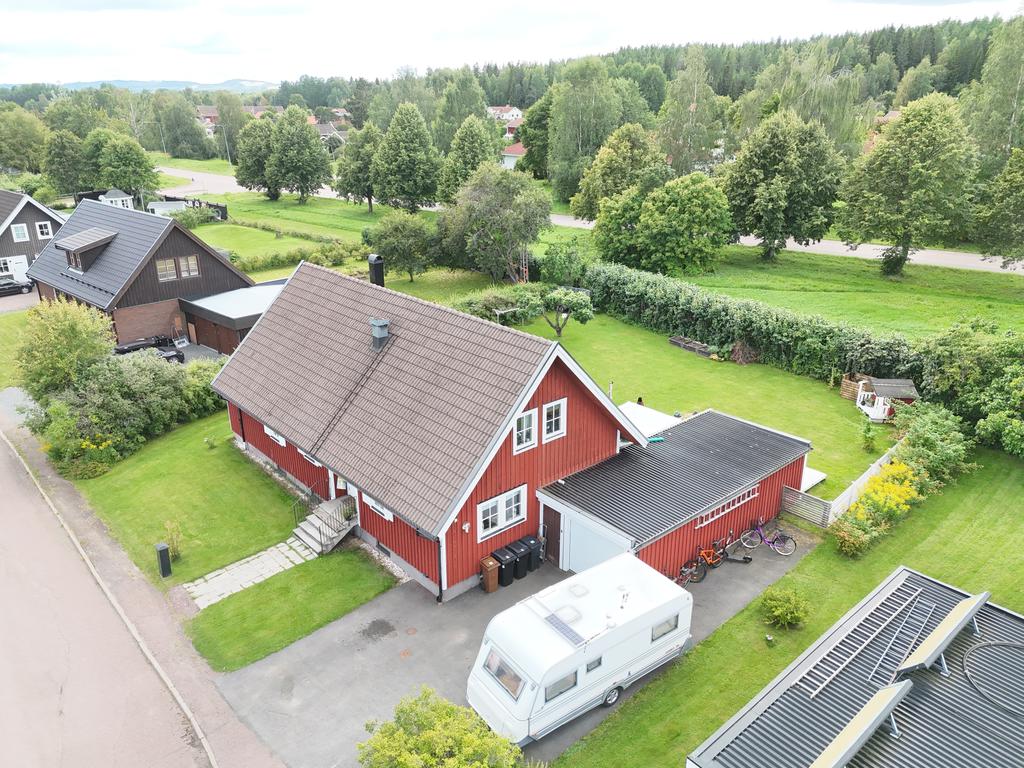 Avskärmande häck mot grannar och grönområden