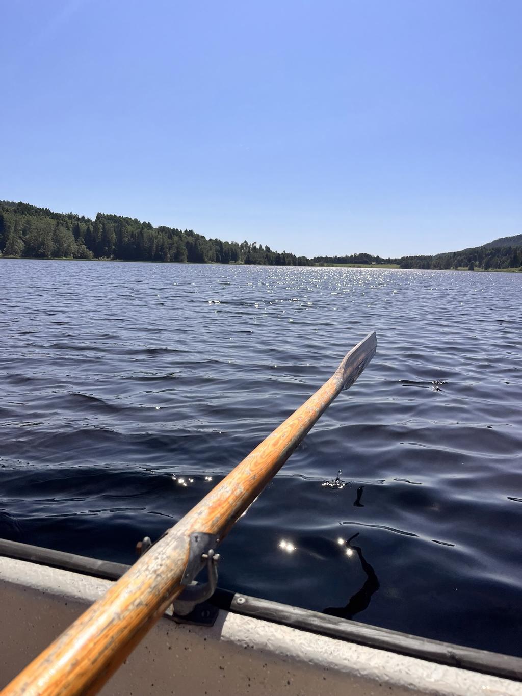 Säljarens egna bilder.