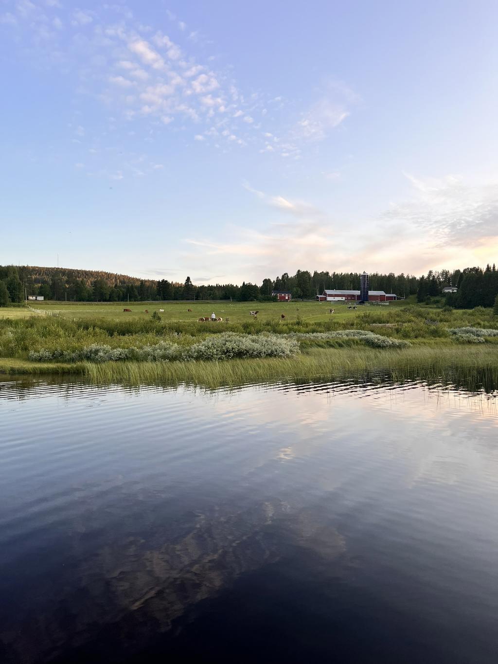 Säljarens egna bilder.