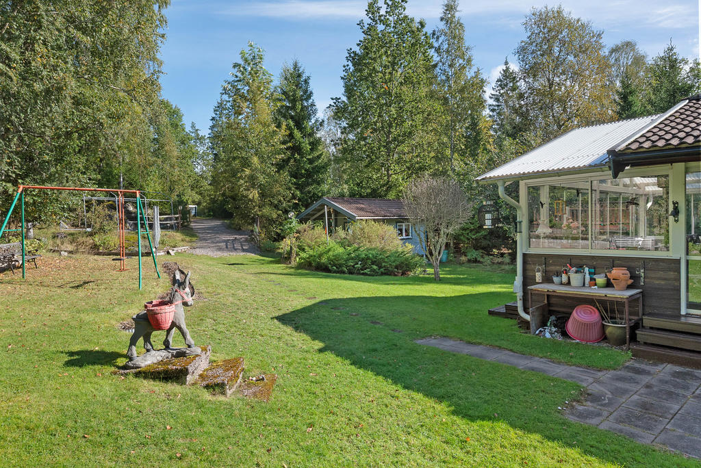 Trädgårdstomt med gräsmatta runt huset