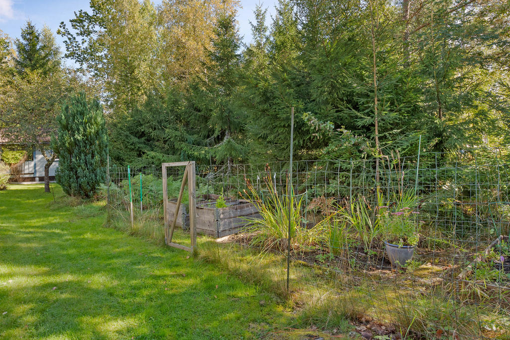 Liten köksträdgård