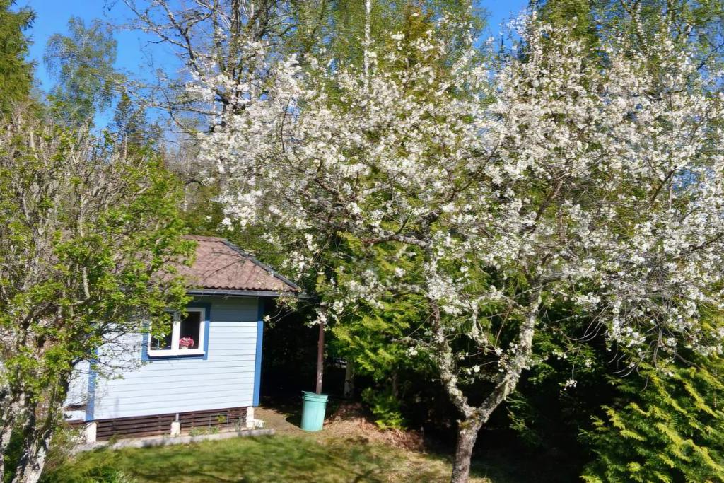 Säljarens vårbild