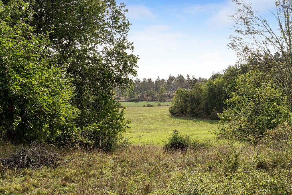 Natursköna omgivningar