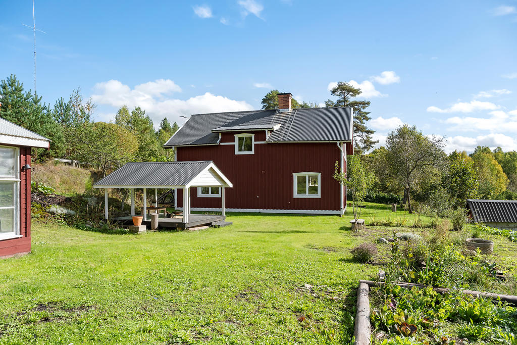 Trädgård
