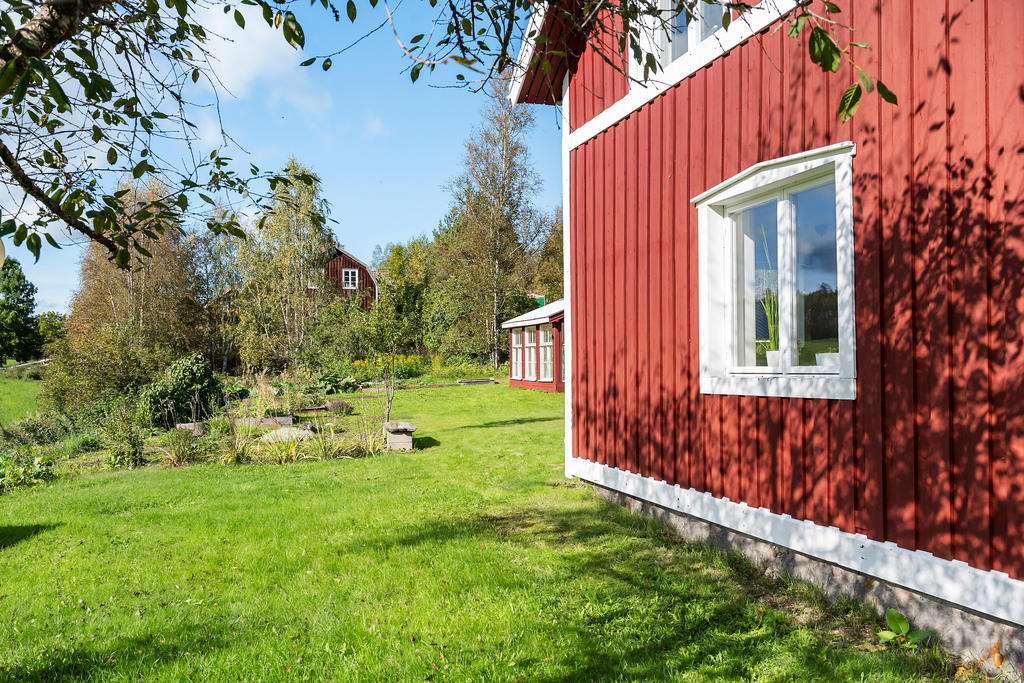 Trädgård