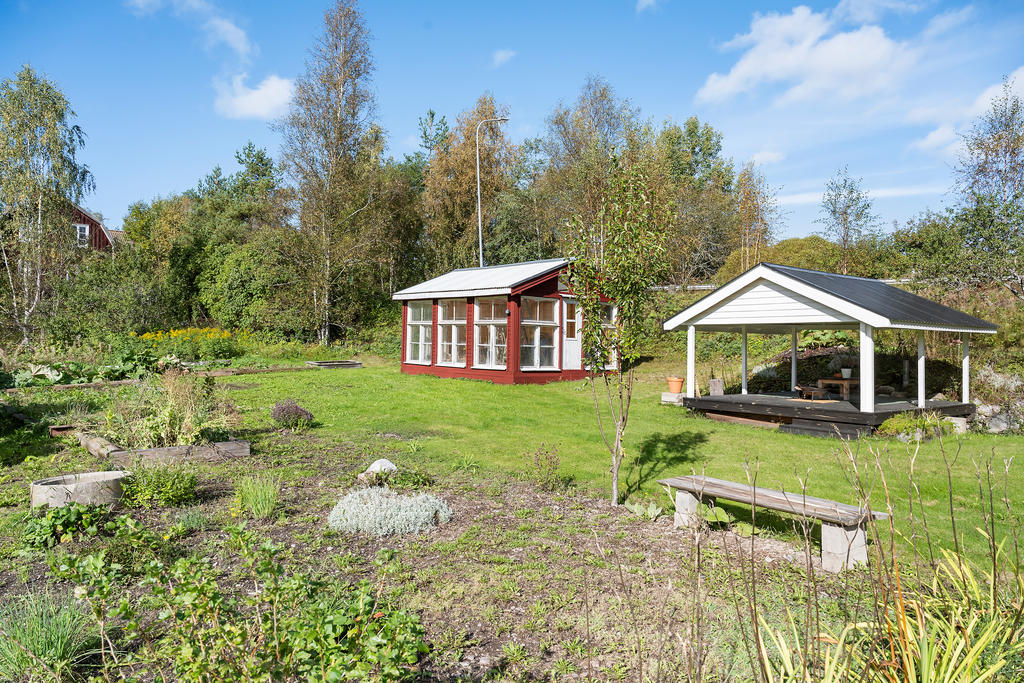 Trädgård