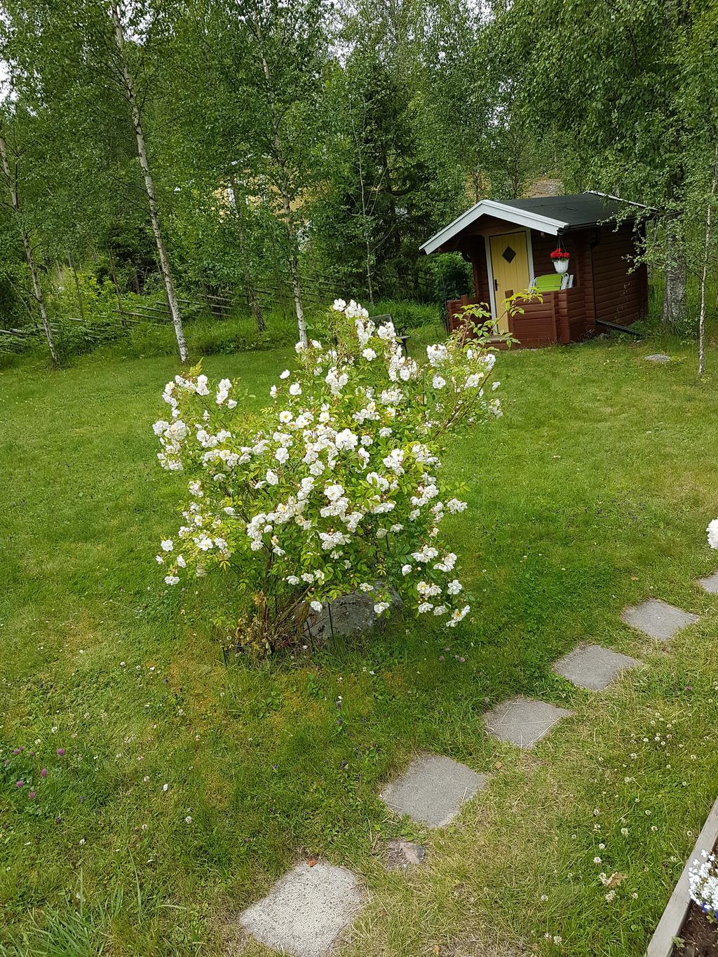 Lilla gäststugan