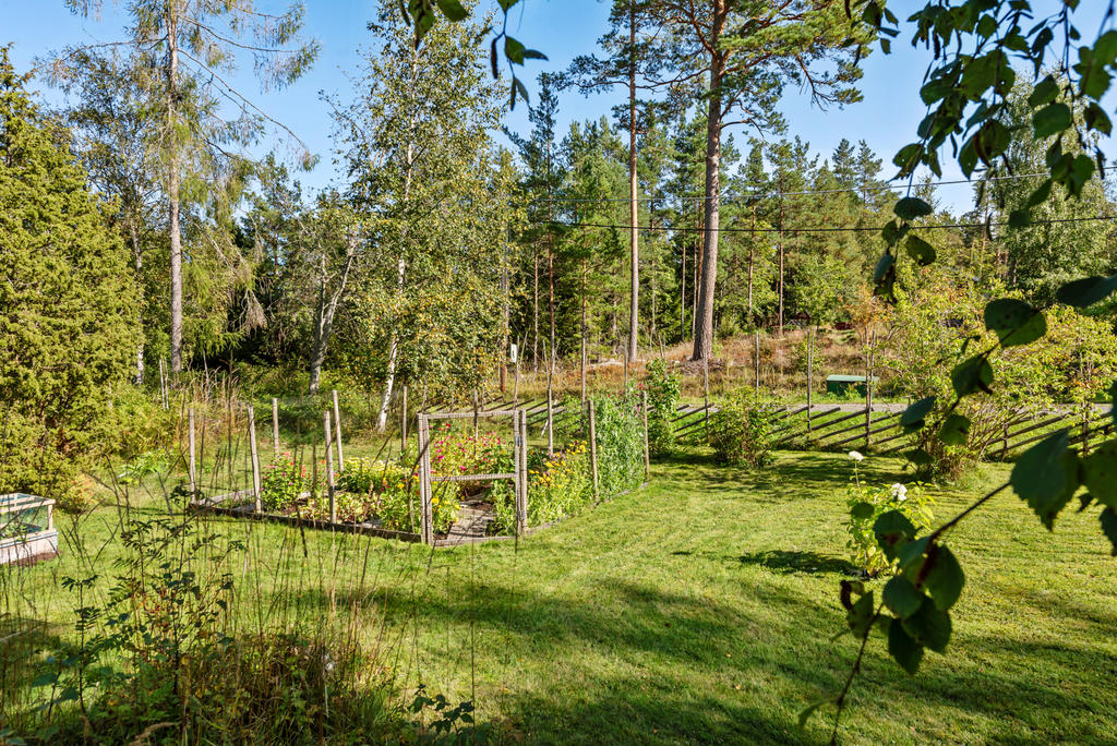 Odlingsland inhägnat som skydd mot djur