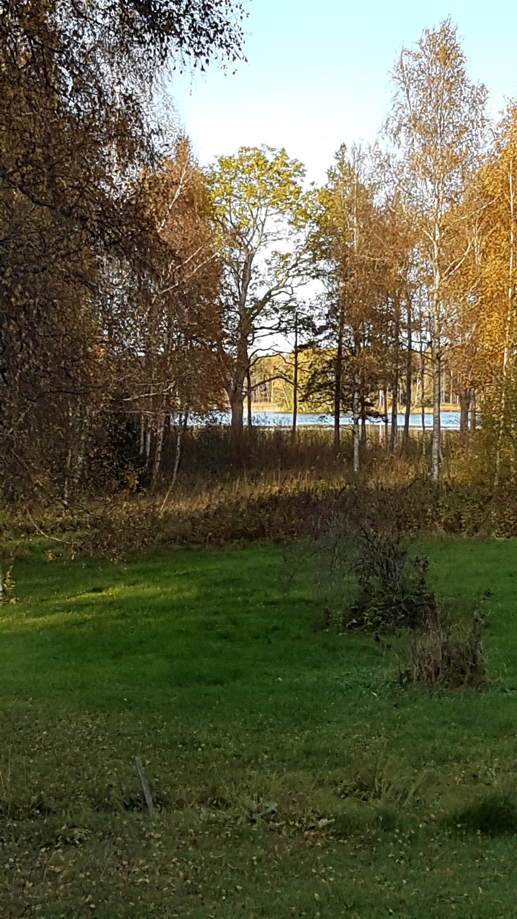 Sjöutsikt från nedre delen av tomten