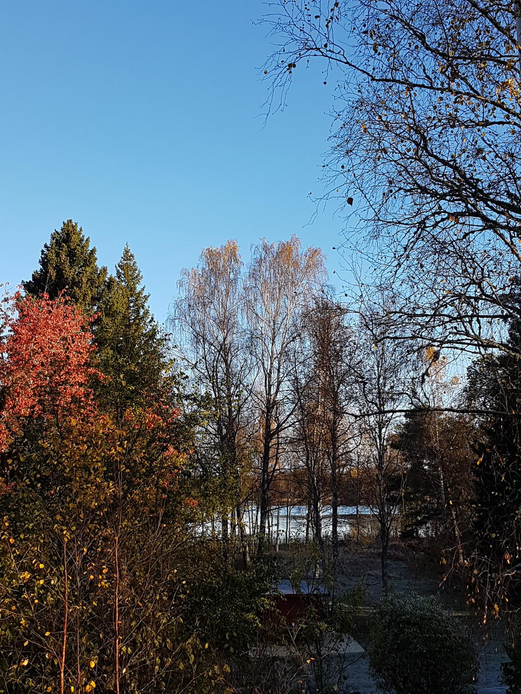 Sjöutsikt från köksfönstret