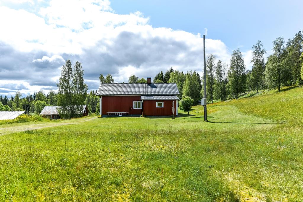 Exteriör