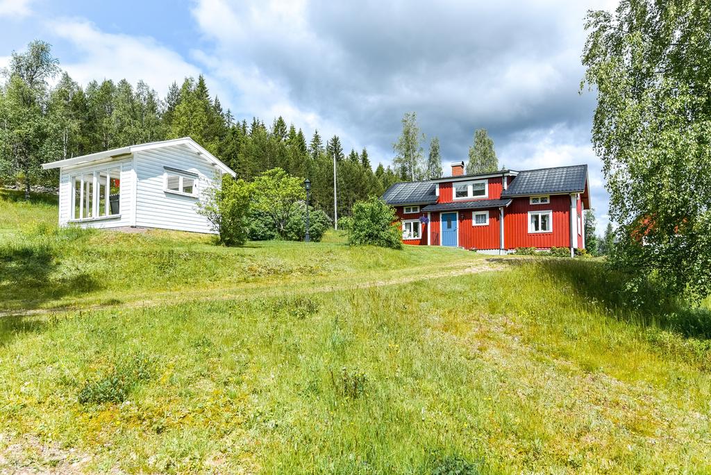 Exteriör