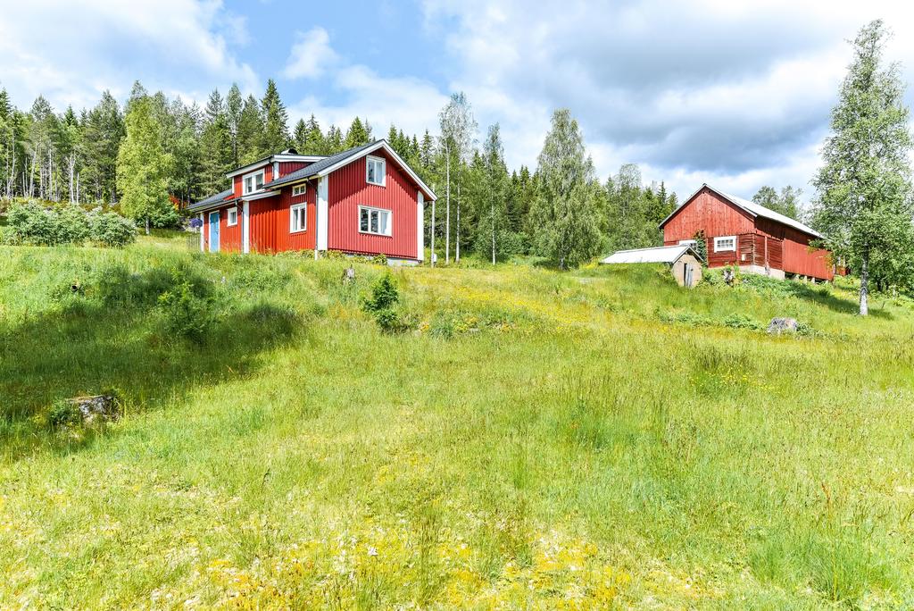 Exteriör