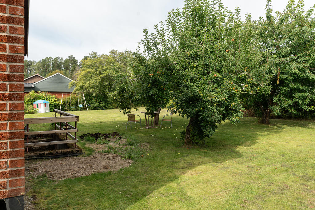 Trädgård