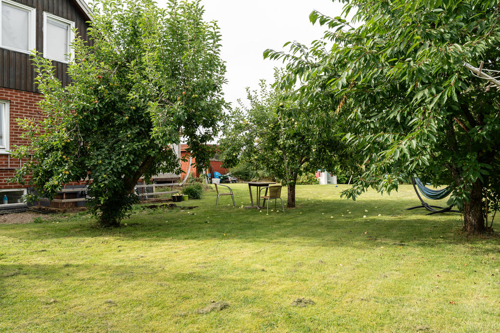 Trädgård