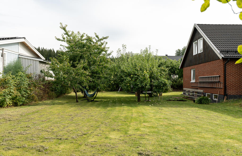 Trädgård